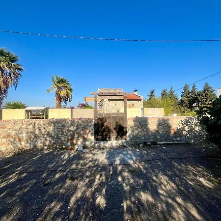 Alamango * Datça